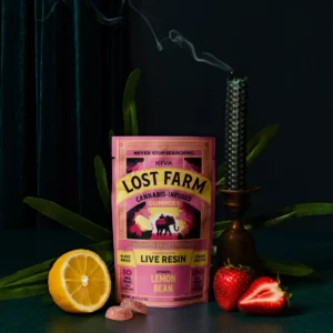 10mg Strawberry Lemonade x Lemon Bean Gummies