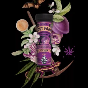 10mg Sugar Plum x Pluot Gummies