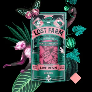 10mg Watermelon x Gelato Live Resin Chews