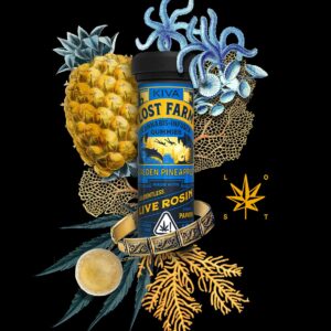 10mg Golden Pineapple x Papaya Live Rosin Gummies