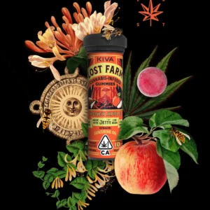 Honey Apple Cannabis Gummies Edible infused with Sunshine OG live resin from Jetty